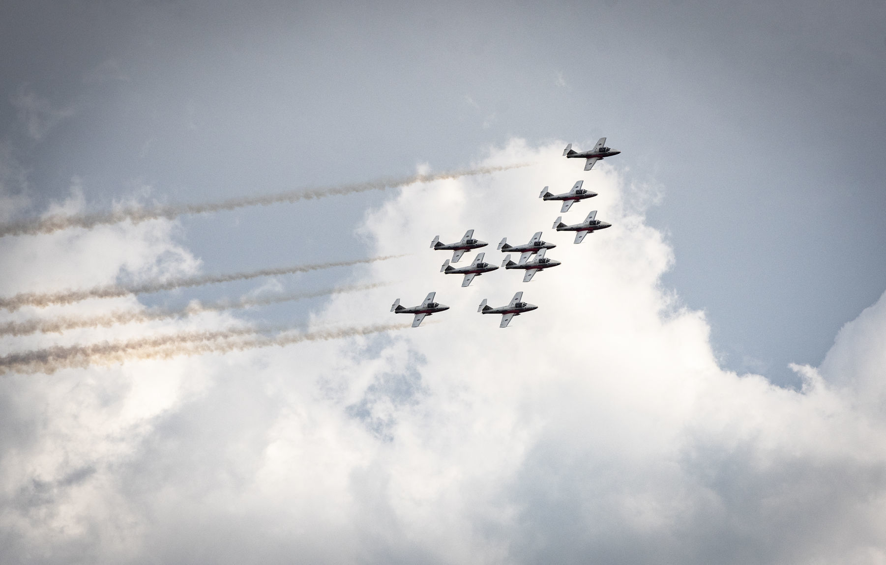 Snowbirds